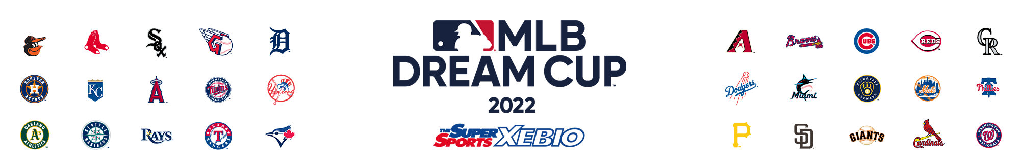 東海 代表決定戦 ブロック予選2017 Mlb Dreamcup Supported By Xebio Group